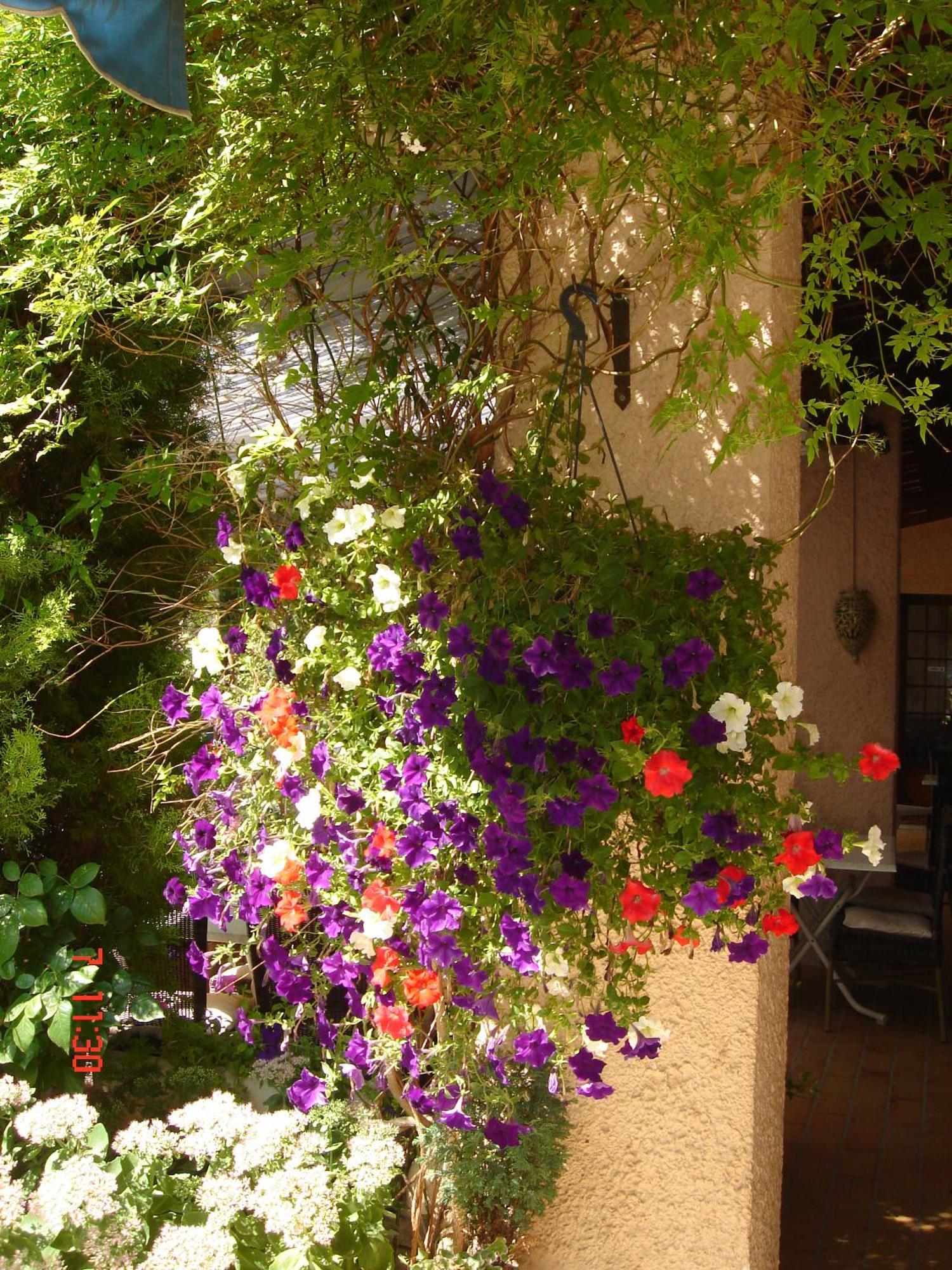 Hotel Mistral Mas-Blanc-des-Alpilles Εξωτερικό φωτογραφία